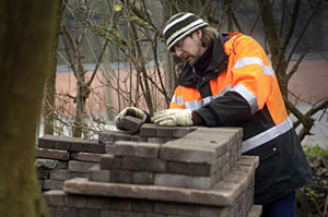 kennedylaantuin (wilde tuin) Heerenveen