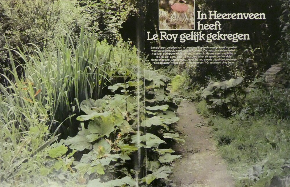 Artikel "In Heerenveen heeft Le Roy gelijk gekregen" in Grasduinen uit 1980