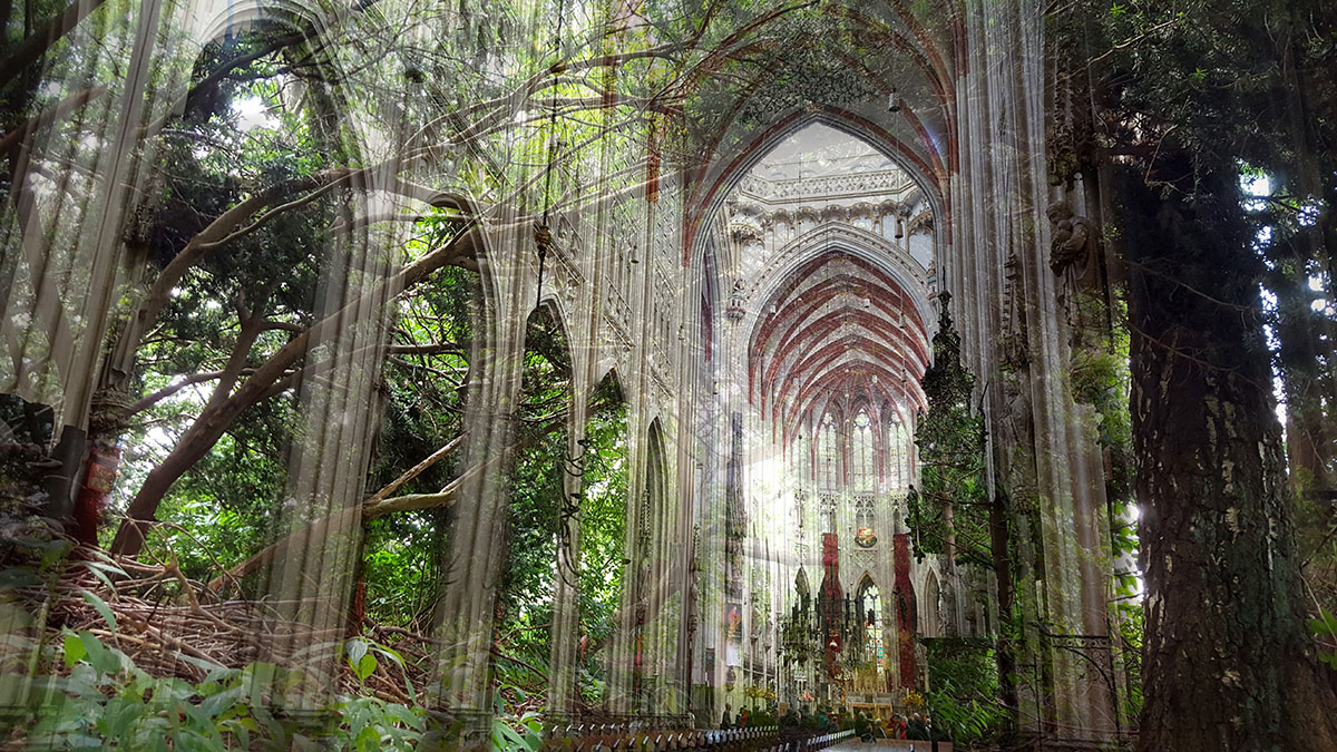 beeldbewerking kathedraal le roy tuin 2016