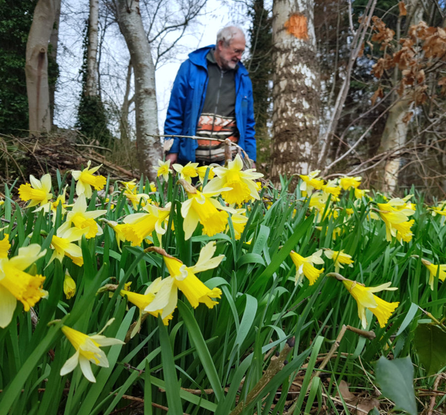 Hans van der lans bij de wilde narcissen in de Le Roy tuin