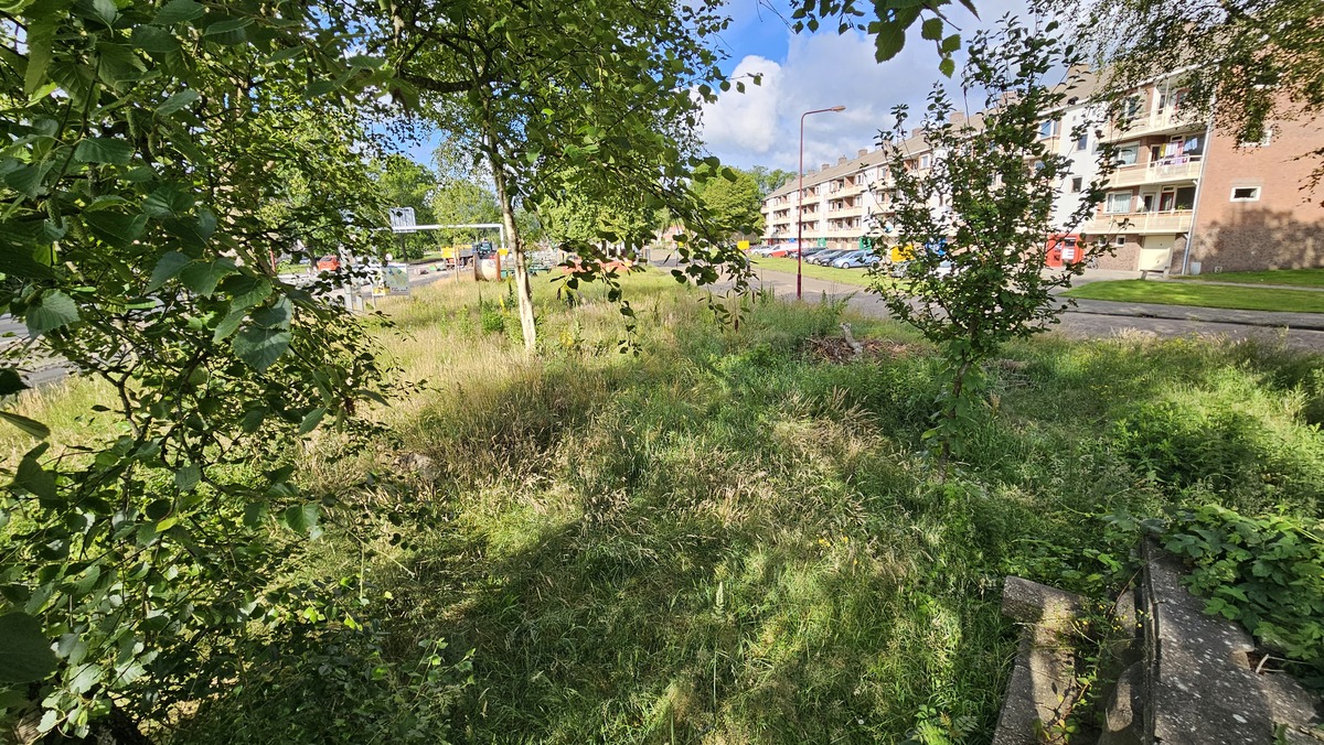 uitbreiding le roy tuin heerenveen ecokathedraal