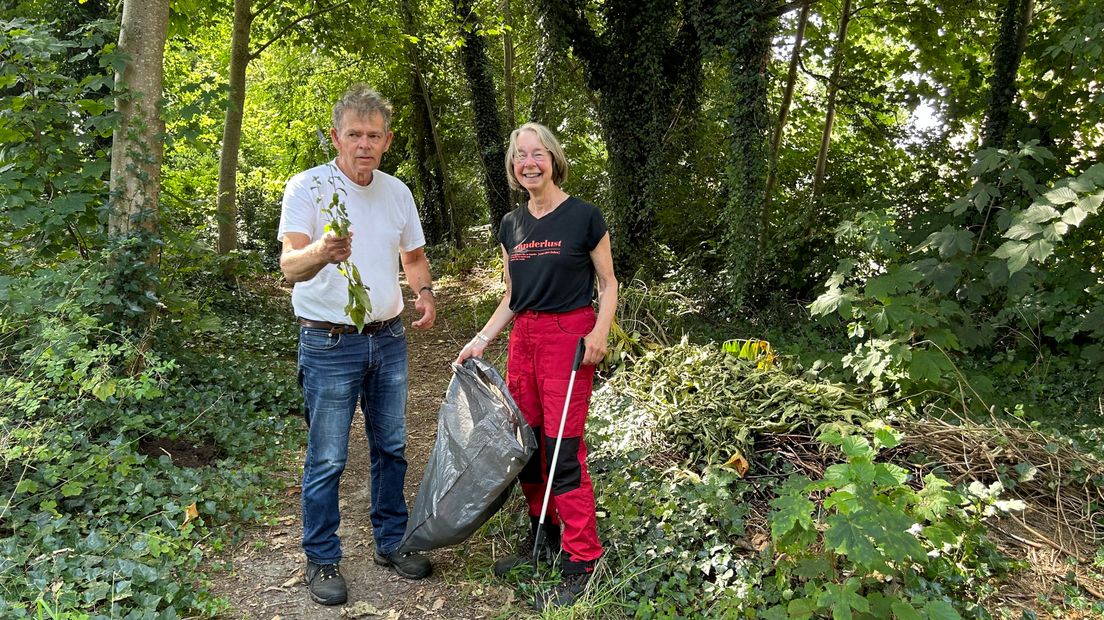 Willem Mulder en Elly Spek aan het werk in de Le Roy-tuin (foto: Klazina Hofstee)