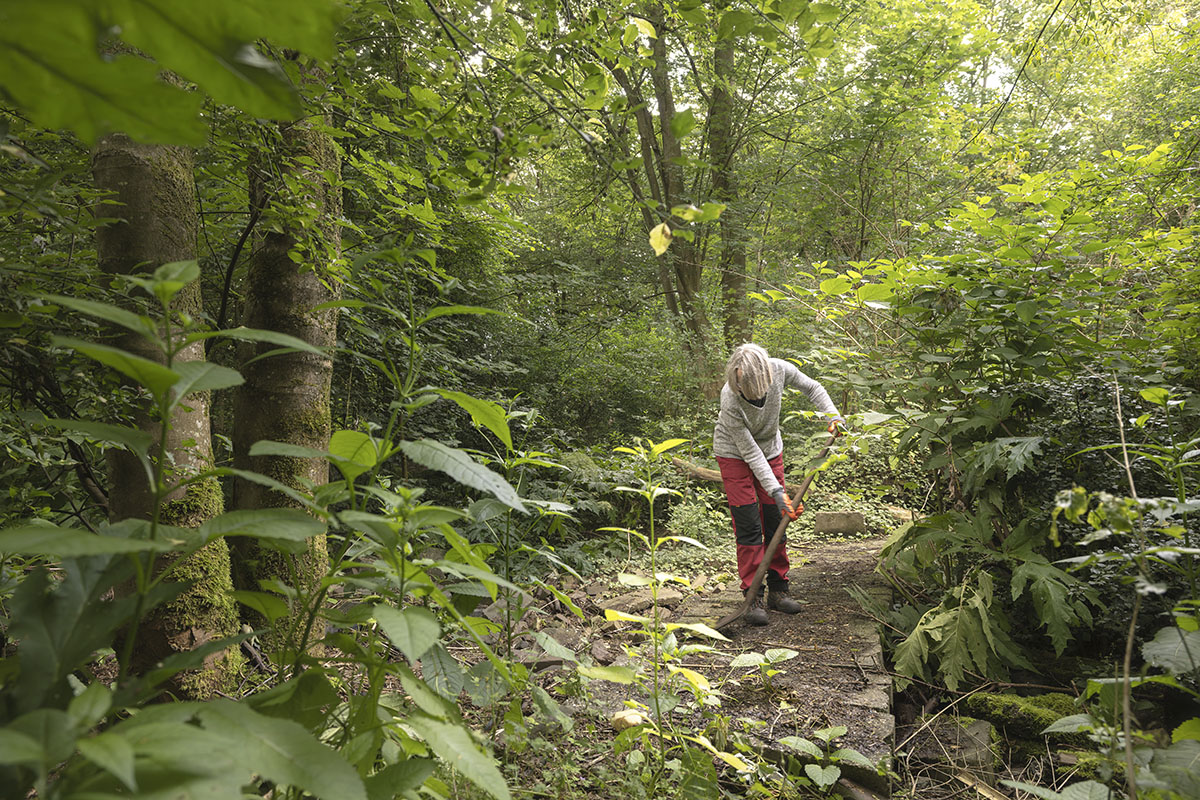 elly spek ecokathedraal mildam post 65 rijksdienst cultureel erfgoed