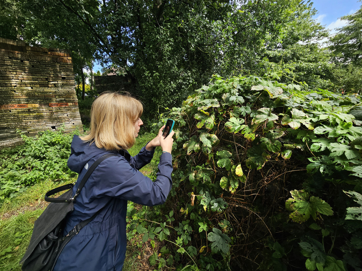 giulia gualtieri phd more then human city tu eindhoven