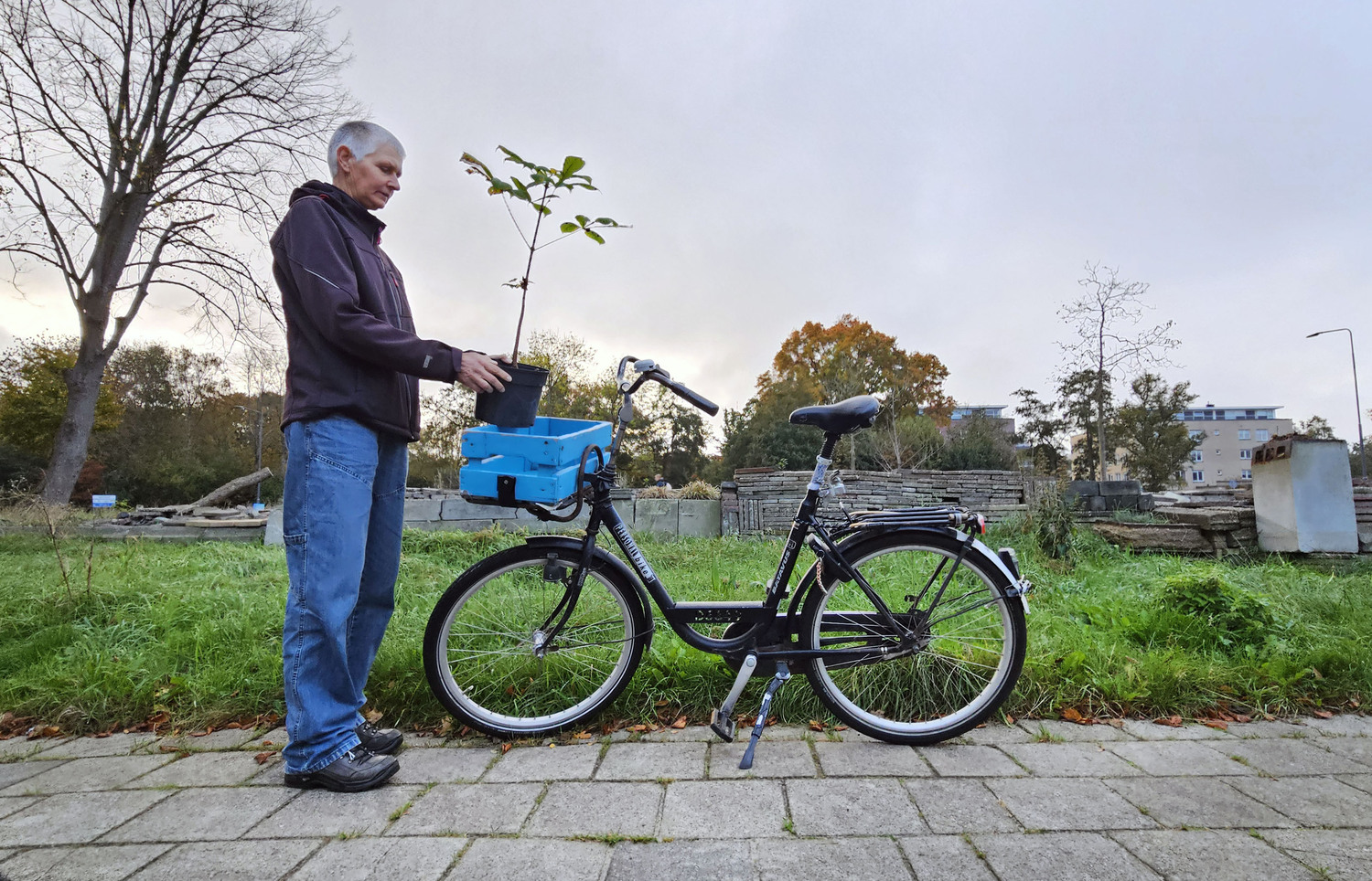 Janne Heida met het kastanjeboompje dat ze aan de Le Roy-tuin heeft geschonken (foto: Peter Wouda)