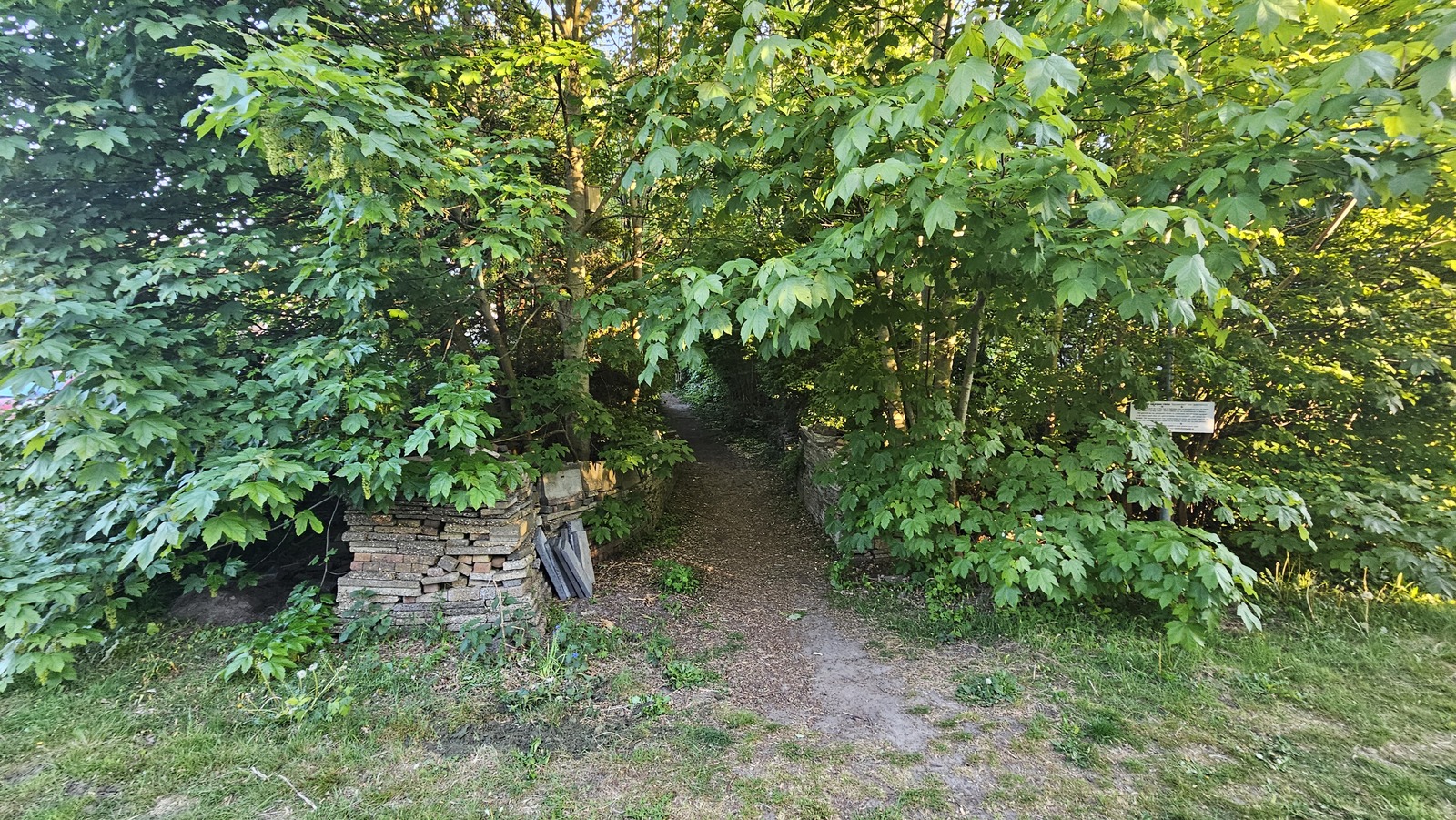 20260508 201003