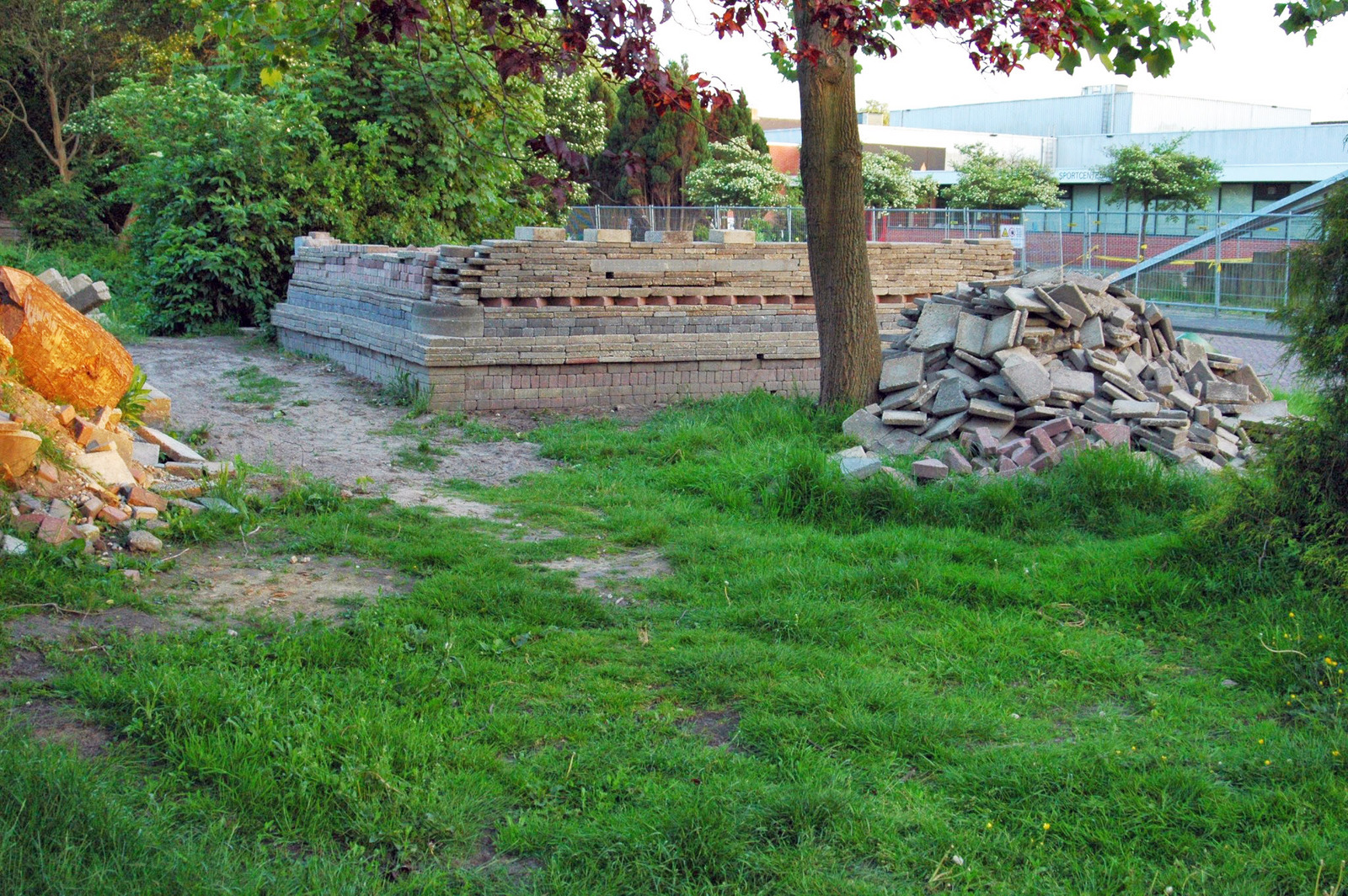 gras doorn in het oog van louis le roy